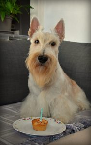 Anniversaire Urban 1 an