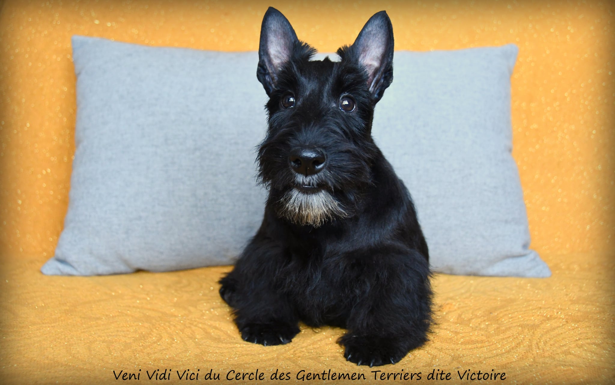 Victoire