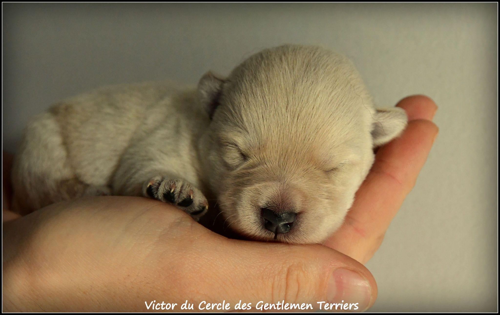 1 semaine