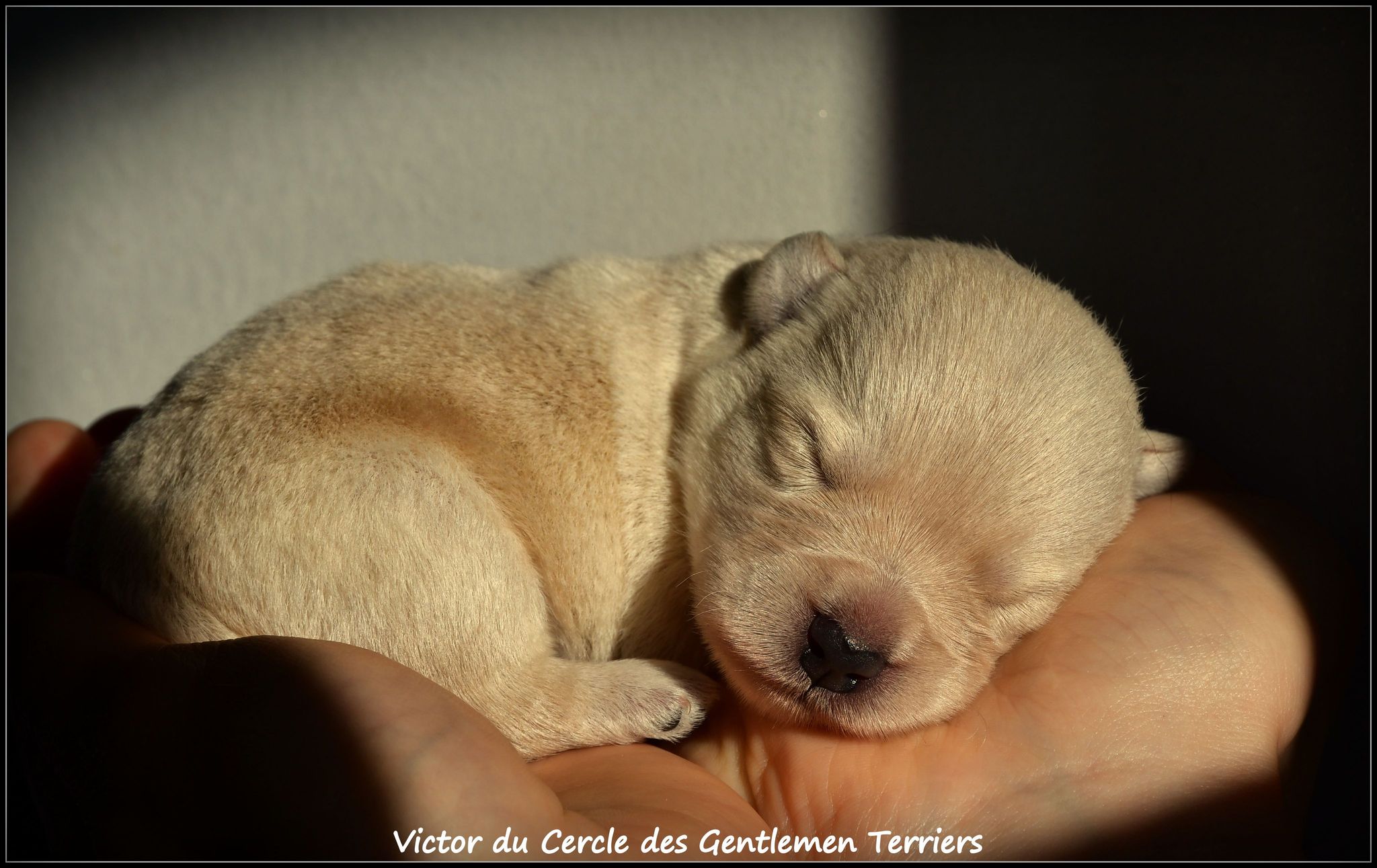 1 semaine
