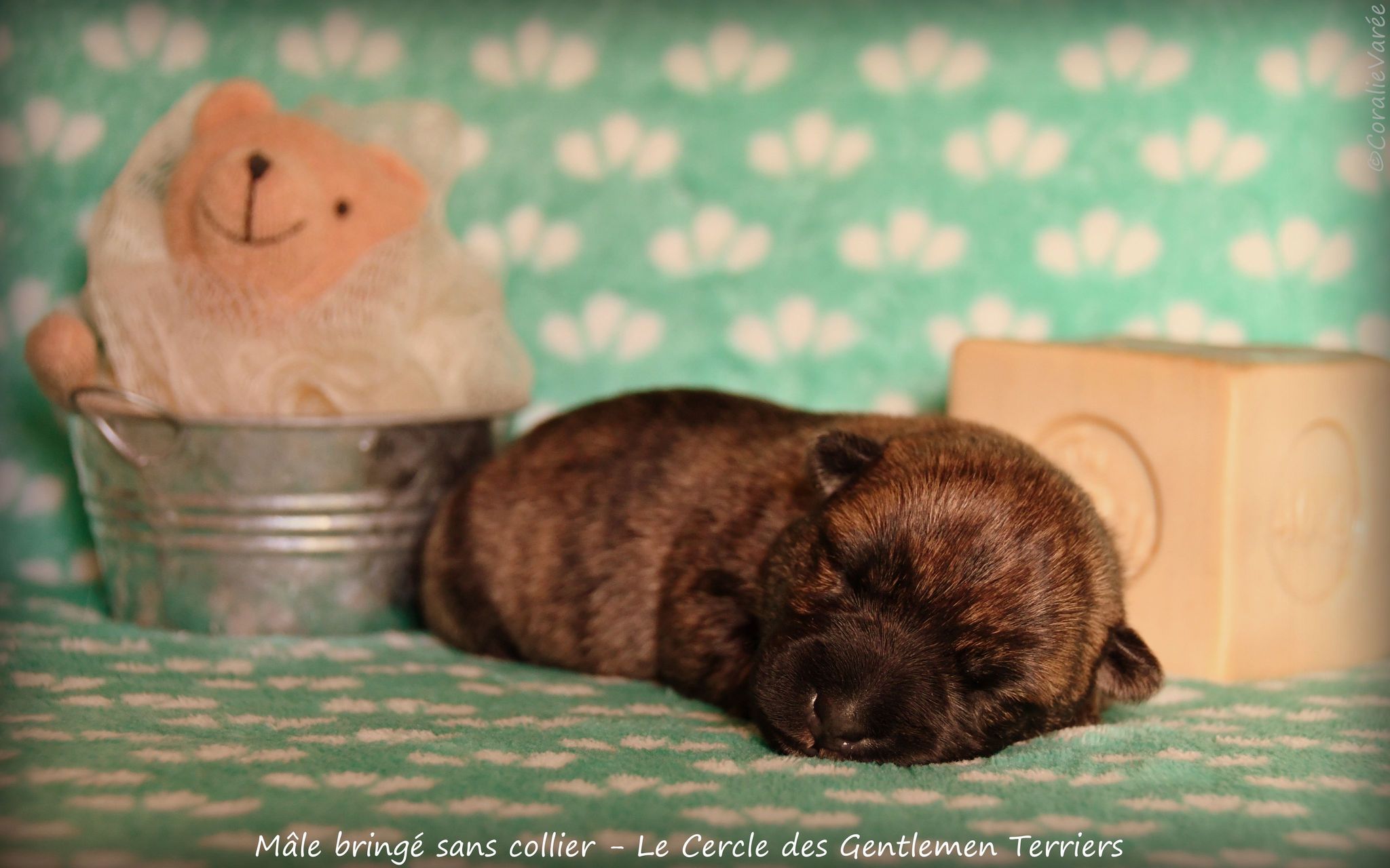 1 semaine