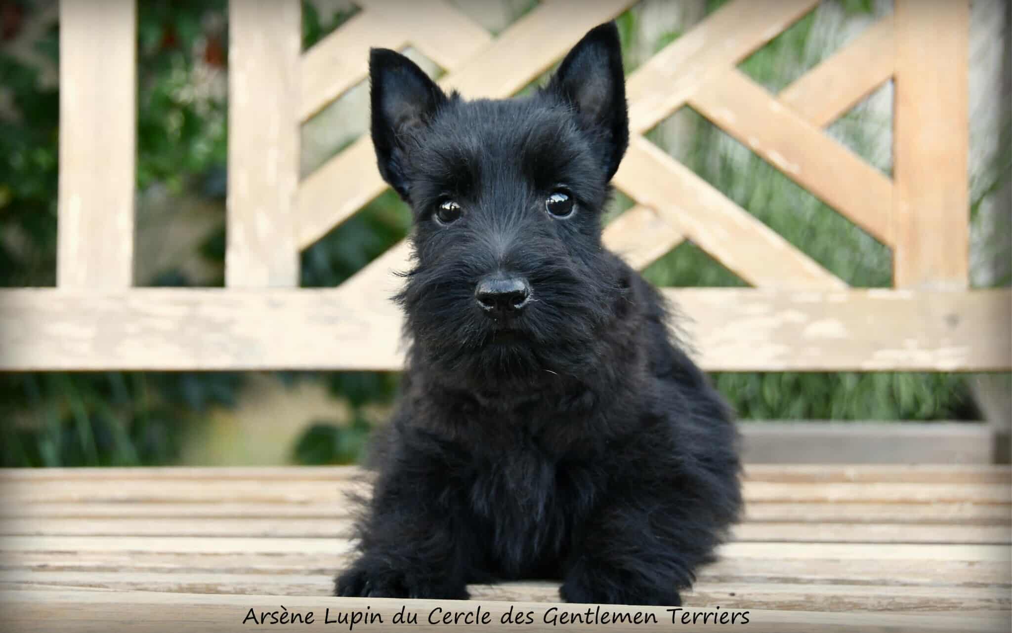 Départ
