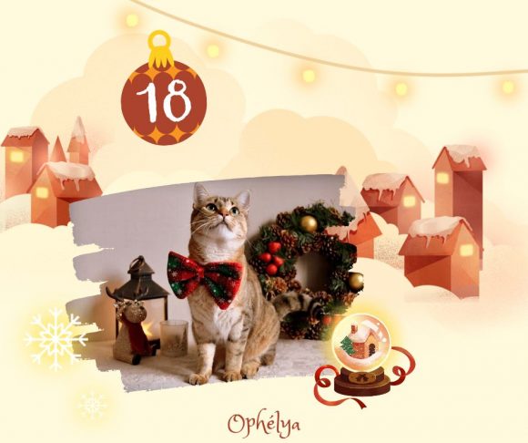 calendrier noel Ophelia
