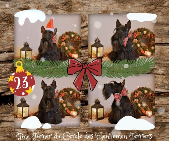 calendrier noel Tina