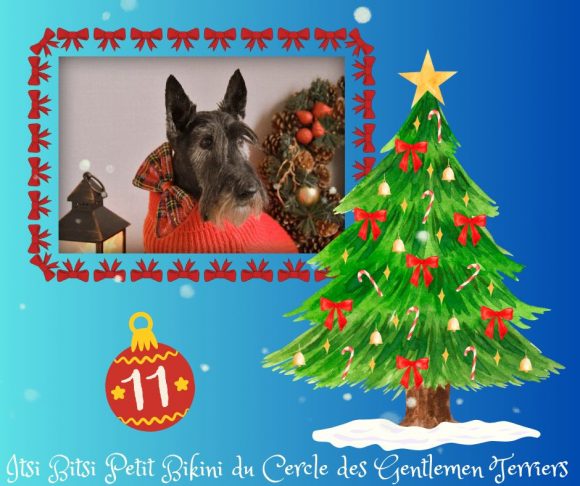 calendrier noel biki