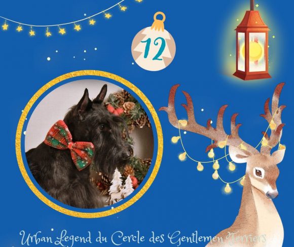 calendrier noel legende