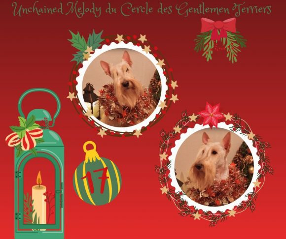 calendrier noel melody