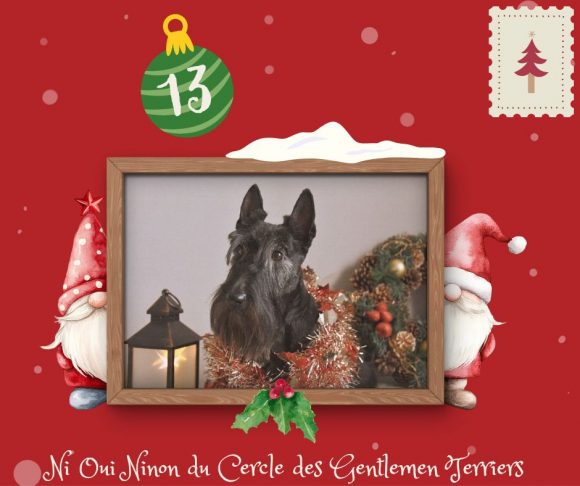 calendrier noel ninon