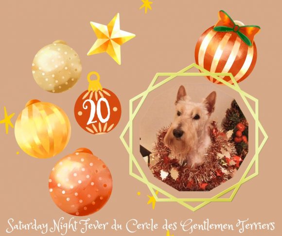 calendrier noel sadie