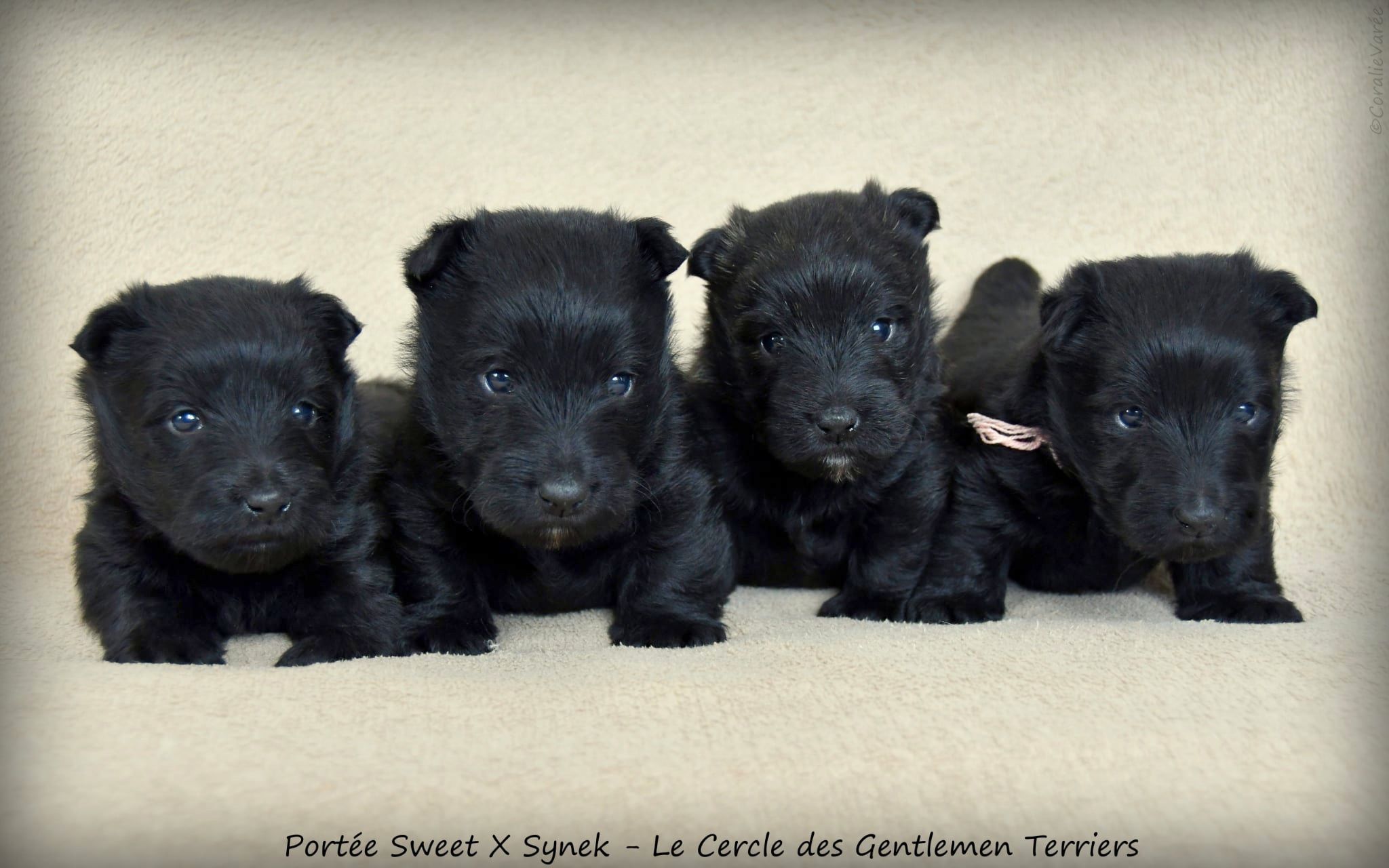 1 mois