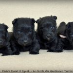 1 mois