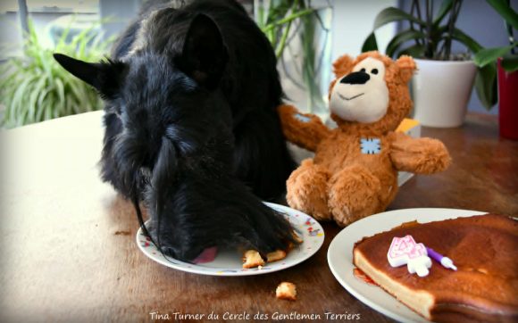 Anniv Tina 4 ans 3