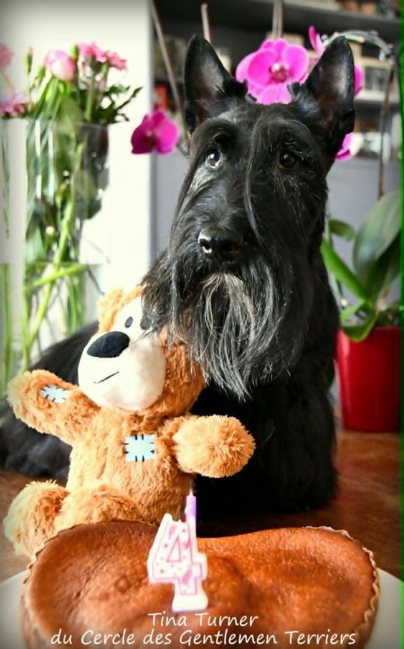 Anniv Tina 4 ans2