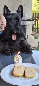 Anniv Rocco 9 ans