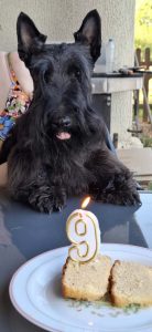 Anniv Rocco 9 ans 2
